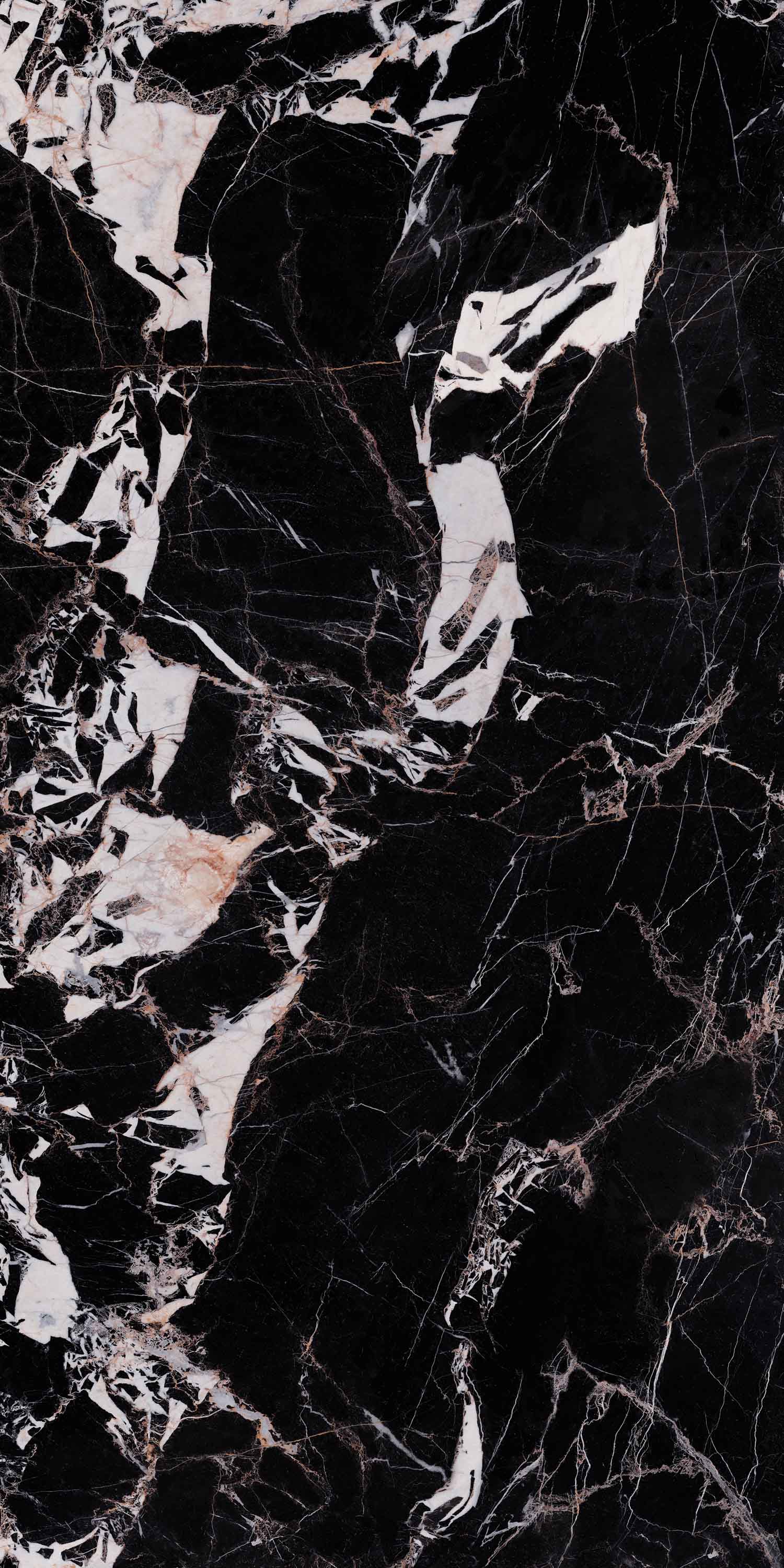 南宫NG28相信品牌的实力网址(中国)官网